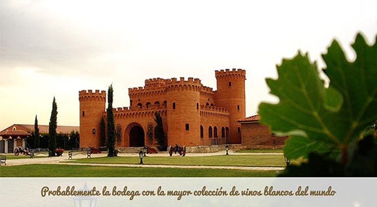 maetierra-vinoblanco-bodega-rioja.jpg