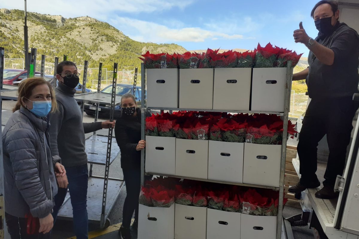 Fundació Novaterra recapta 30.000€ amb les flors de Pasqua