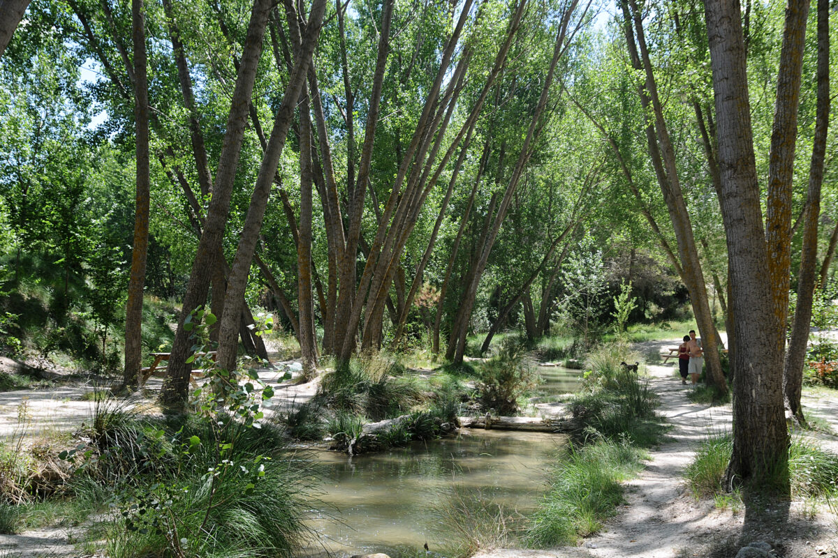 El Racó-Canalons, un corredor ecològic en constant evolució