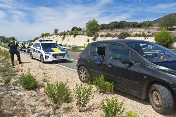 Abandonan a un perro encerrado dentro de un coche a pleno sol