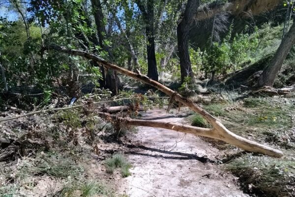 Netejaran el Racó de Sant Bonaventura després dels danys de les últimes pluges