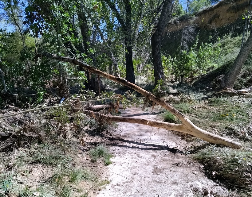 Limpiarán el Racó de Sant Bonaventura-Canalons tras los daños de las últimas lluvias