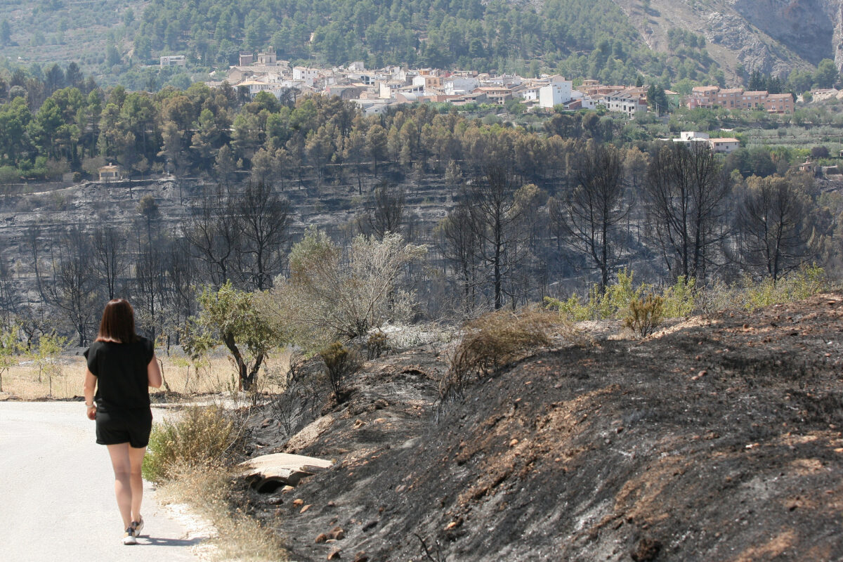 Mosaico agroforestal: 1.000 euros por trabajar la tierra