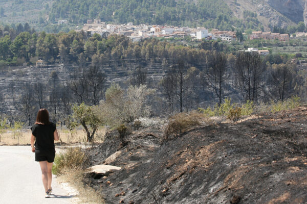 Mosaic agroforestal: 1.000 euros per treballar la terra