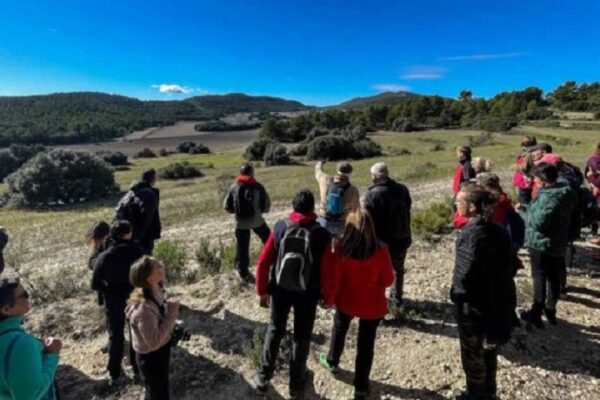 Els veïns afectats per la planta solar de la Vall de Polop preparen accions legals