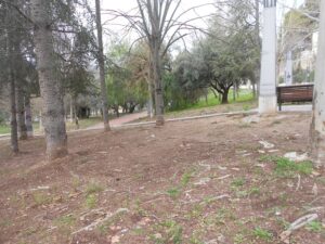 Aparcar i l'abandó de les zones verdes, les queixes dels veïns de Santa Rosa